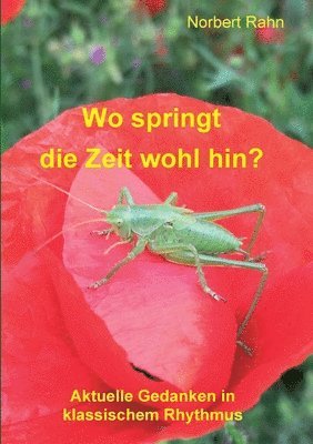 Wo springt die Zeit wohl hin?: Aktuelle Gedanken in klassischem Rhythmus