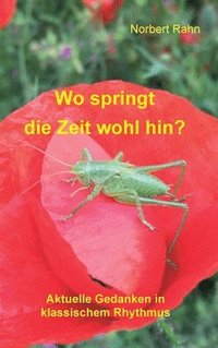 bokomslag Wo springt die Zeit wohl hin?: Aktuelle Gedanken in klassischem Rhythmus