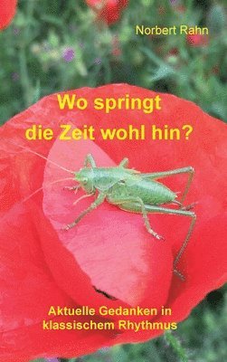 bokomslag Wo springt die Zeit wohl hin?: Aktuelle Gedanken in klassischem Rhythmus