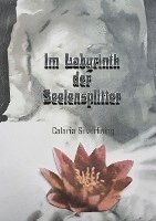 bokomslag Im Labyrinth der Seelensplitter