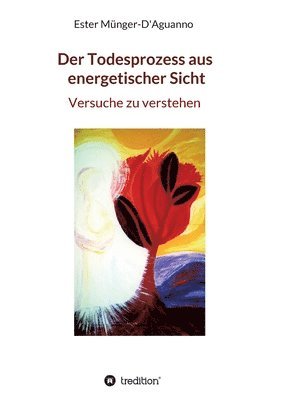 bokomslag Der Todesprozess aus energetischer Sicht: Versuche zu verstehen