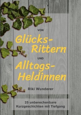 bokomslag Von Glücksrittern und Alltagsheldinnen