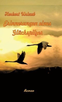 bokomslag Erinnerungen eines Glückspilzes