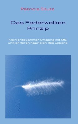 bokomslag Das Federwolken-Prinzip