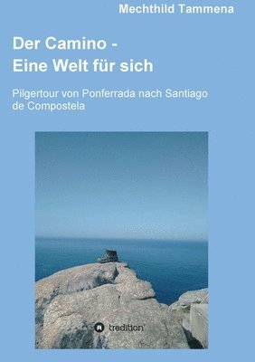 bokomslag Der Camino - Eine Welt für sich