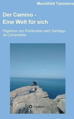 bokomslag Der Camino - Eine Welt für sich