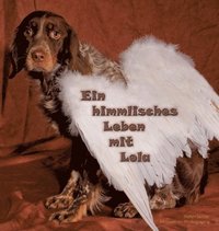 bokomslag Ein himmlisches Leben mit Lola: 100 Momente eines glücklichen Hundelebens