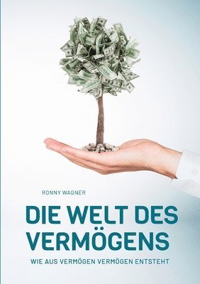 bokomslag Die Welt des Vermögens