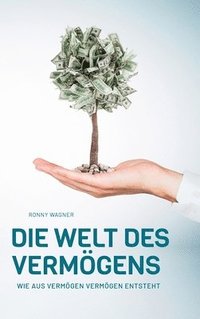 bokomslag Die Welt des Vermögens