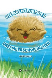 bokomslag Die Abenteuer der drei Meerschweinchen