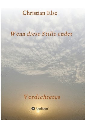 bokomslag Wenn diese Stille endet