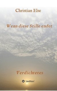 bokomslag Wenn diese Stille endet