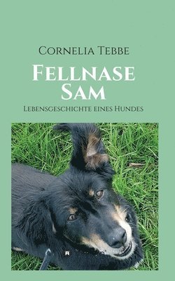 Fellnase Sam 1