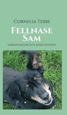 Fellnase Sam 1