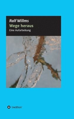 bokomslag Wege heraus: Eine Aufarbeitung