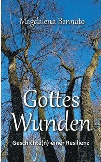 bokomslag Gottes Wunden: Geschichte(n) einer Resilienz