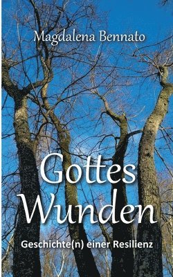 bokomslag Gottes Wunden: Geschichte(n) einer Resilienz