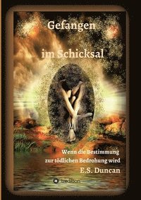 bokomslag Gefangen im Schicksal