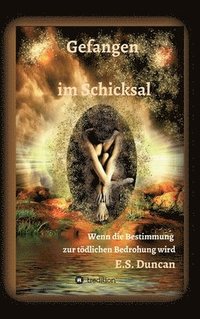 bokomslag Gefangen im Schicksal