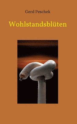 bokomslag Wohlstandsblüten