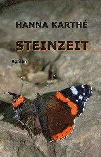 bokomslag Steinzeit