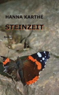 bokomslag Steinzeit