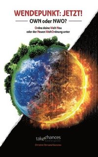 bokomslag Wendepunkt: JETZT!: OWN oder NWO - Ordne deine Welt Neu oder der Neuen WeltOrdnung unter