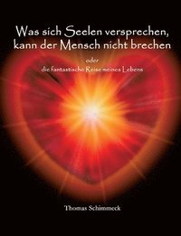 bokomslag Was sich Seelen versprechen kann der Mensch nicht brechen