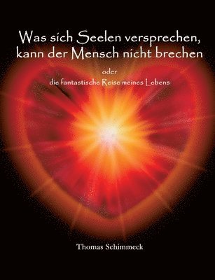 bokomslag Was sich Seelen versprechen kann der Mensch nicht brechen