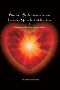 bokomslag Was sich Seelen versprechen kann der Mensch nicht brechen: die fantastische Reise meines Lebens