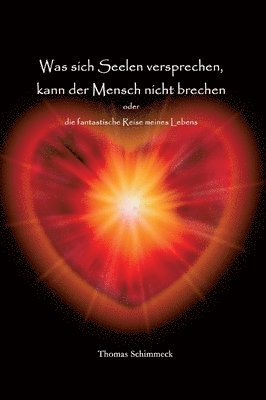 bokomslag Was sich Seelen versprechen kann der Mensch nicht brechen: die fantastische Reise meines Lebens