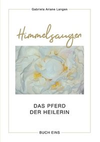 bokomslag Himmelsaugen: Das Pferd der Heilerin