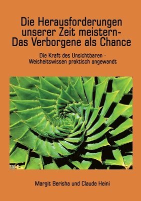 bokomslag Die Herausforderungen unserer Zeit meistern: Die Kraft des Unsichtbaren - Weisheitswissen praktisch angewandt