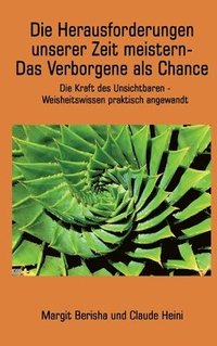 bokomslag Die Herausforderungen unserer Zeit meistern: Die Kraft des Unsichtbaren - Weisheitswissen praktisch angewandt