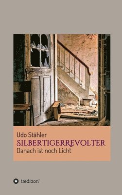 Udo Stähler - SilbertigerRevolter: Danach ist noch Licht, Inbunden