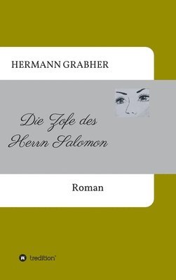 bokomslag Die Zofe des Herrn Salomon: Roman