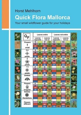 bokomslag Quick Flora Mallorca: Your small wildflower guide for your holidays