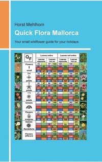 bokomslag Quick Flora Mallorca: Your small wildflower guide for your holidays