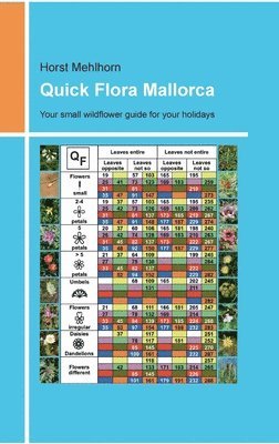 bokomslag Quick Flora Mallorca: Your small wildflower guide for your holidays