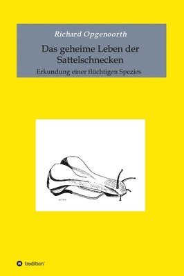 bokomslag Das geheime Leben der Sattelschnecken: Erkundung einer flüchtigen Spezies