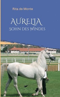 bokomslag AURELIA - Sohn des Windes