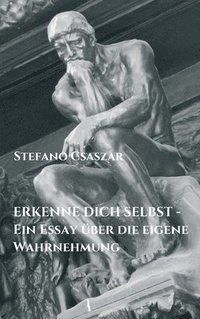 bokomslag ERKENNE DICH SELBST - Ein Essay über die eigene Wahrnehmung