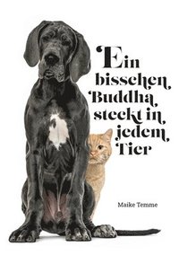 bokomslag Ein bisschen Buddha steckt in jedem Tier