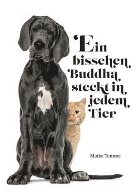 bokomslag Ein bisschen Buddha steckt in jedem Tier
