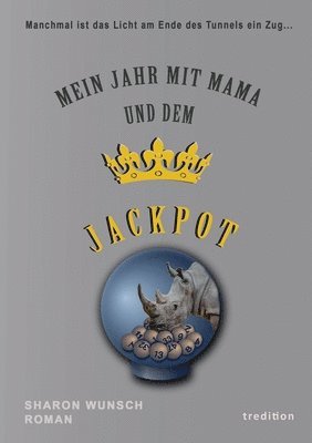 bokomslag Mein Jahr mit Mama und dem Jackpot