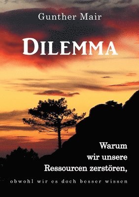 bokomslag Dilemma