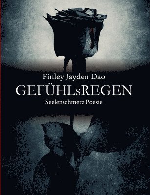 GEFÜHLsREGEN: Seelenschmerz Poesie