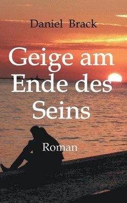 bokomslag Geige am Ende des Seins