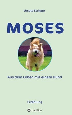 Moses - Aus dem Leben mit einem Hund 1