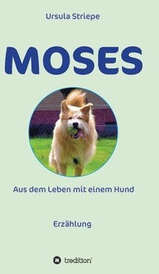 bokomslag Moses - Aus dem Leben mit einem Hund